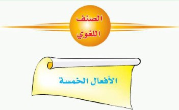 الصنف اللغوي